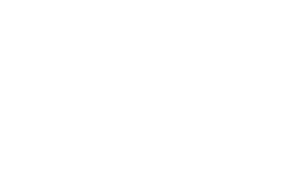Neubauer und Sohn Logo