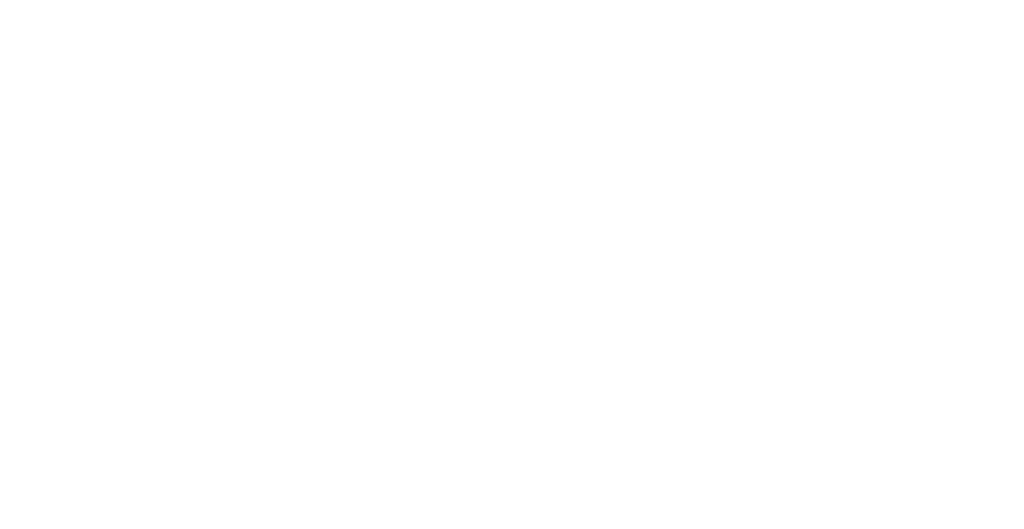 Neubauer und Sohn Logo
